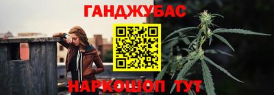 шишки Лесосибирск