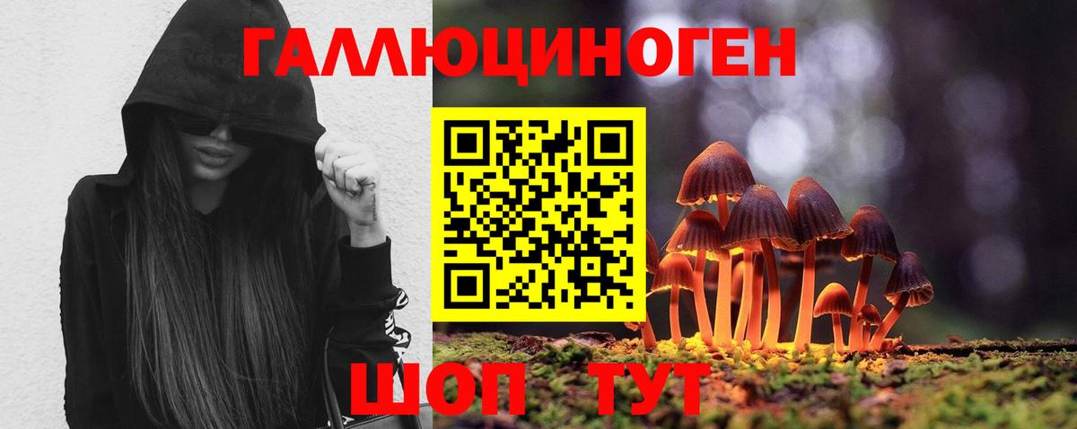 Псилоцибиновые грибы Psilocybine cubensis Ирбит