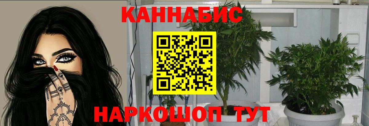 Марихуана индика  Канабис план  Ирбит  Вход с VPN 